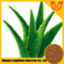 GMP Factory Aloin Aloe Vera Extract / Plantago Asiatica L.
