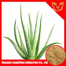Hot sale low price aloe vera extract aloin powder ,aloe extract,maintain beauty and keep young