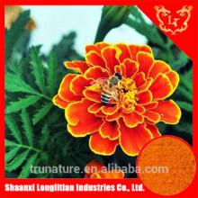 Lutein (5%-70%HPLC Lutein Powder)