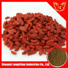 Chinese Wolfberry Fruit Extract Powder / natural wolfberry extract powder/Goji P.E.