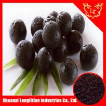 freeze dried acai berry extract powder