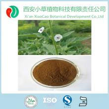 Supply  Marshmallow   leaf  Extract For herb medicine