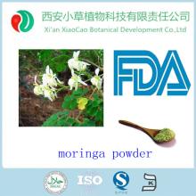 GMP factory supply moringa leaf powder