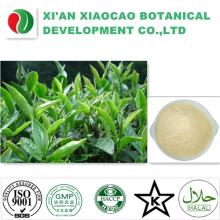 Tea seed saponin powder