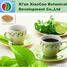 Decaffeinated Green Tea Extract Powder,Matcha Green Tea Extract,Green Tea Extract Polyphenol