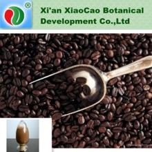 GMP pure natural  Cocoa   extract   powder 