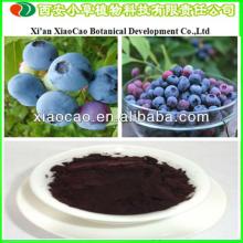 GMP Manufacturer Supply Natural Anti-Oxidant Bilberry Extract Anthocyanidins/Bilberry Plant Extract