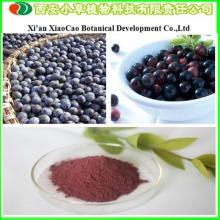 Manufacturer Supply High Quality Acai berry Powder/Acai berry Extract 10:1