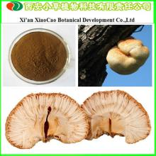 Supply High Quality  Hericium   Erinaceus   Extract  30% Polysaccharide/  Hericium   Erinaceus   Extract 