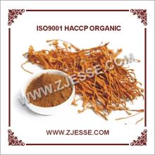 Chinese Cordyceps Sinensis Extract
