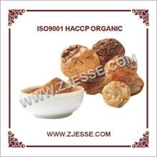 Brazil mushroom Himenmatsutake Agaricus Blazei Extract