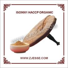  Glossy   Ganoderma  Lucidum Extract