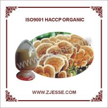 PSK Fungus Coriolus Versicolor Extract