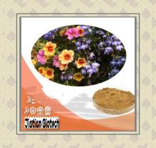 low price marshmallow althaea officinalis root P.E.