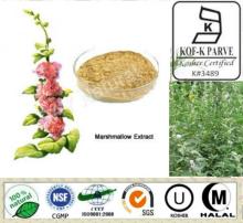 Manufacturer Supply Pure natural marshmallow extract/Hollyhock Extract