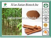 Food grade Chinese cinammon extract water soluble cinnamon extract