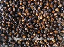 High Quality Black Pepper Extract Powder