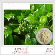 GMP Factory Supply 100% Natural Dihydromyricetin from Vine Tea Extract