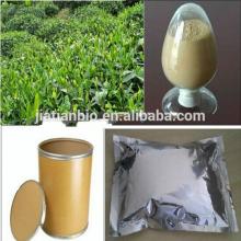 Organic Green Tea Extract 20%-99% Theanine