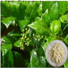 Vine Tea powder 98% Dihydromyricetin (DHM)