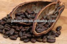 Natural cocoa bean extract theobromine