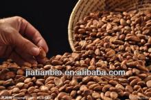 cocoa bean extract