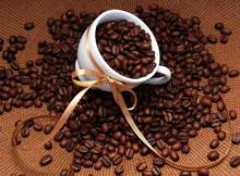 Pure Natural cocoa extract theobromine supplement