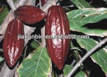 Cocoa Seed Extract, Theobromine, xantheose CAS 83-67-0