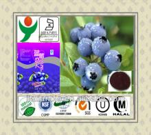 Manufacturer Supply Blue berry extract- Anthocyanidin s  powder 
