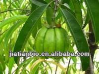 Hydroxycitric Acid 100% Water soluble Garcinia Cambogia Extract Powder