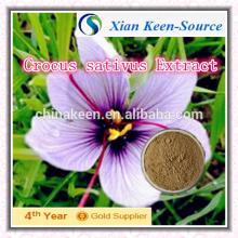 activating blood saffron extract powder/Crocus sativus P.E 10:1/ Crocus Extract