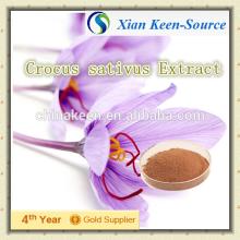 Chinese herbal medicine Extract Crocus sativus Extract/ Crocus Extract/ saffron Extract