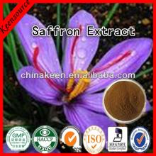 Natural Saffron Extract 10:1/SpringCrocus Extract/ Crocus sativus Extract