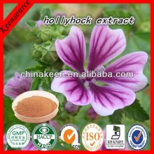 2014 Hollyhock Extract/Marshmallow Root Powder/ Althaea Officinalis Extract