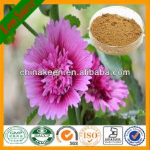 High Quality Marshmallow  Extract /  Althaea   Officinalis   Extract 