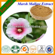 High Quality Althaea Officinalis Extract/Marshmallow Extract