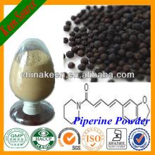 Black Pepper P.E Powder/Piper Nigrum Extract