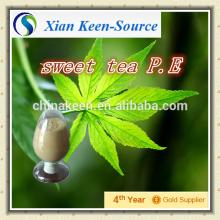 sweet   tea   extract   powder / sweet   tea  P.E