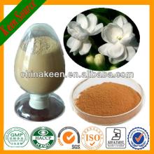 High Quality Jasmine Tea Extract Powder