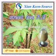 100% Natural sweet tea extract powder/ folium rubi suavissimi extract