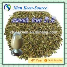 Competitive Price sweet tea extract powder/Rubus Leaf extract/Rubusoside