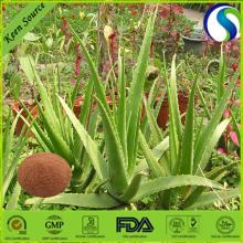 High Quality Aloe Extract Powder