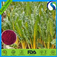 Natural Best Price Beta Vulgaris Extract