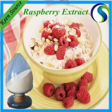 Best Price 98% Raspberry Ketones from Raspberry Extract