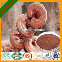 Reishi Mushroom P.E Ganoderma Polysaccharides