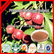 High Quality Hawthorn Extract/Fructus Crataegi Extract/ Haw Extract
