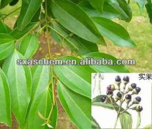 Nature chinese cinnamon extract, Polyphenols, Flavone for Healthcare Products