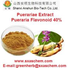 Pure Natural Plant  Extract  Radix  Pueraria e  Extract   powder / Kudzuvine Root  Extract   powder /Radix Puera