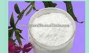 Green tea extract powder / L-Theanine
