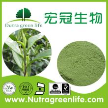 Instant Matcha Green Tea Powder for Health and Beauty